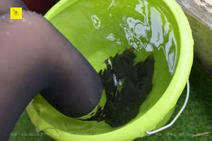 Narrative Fashion and Fantasy in IESS Neighbor Borrowing Water Vol.2 - image 21
