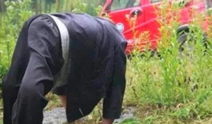 The Mysterious 'Cow Village' Curse: Why Walking on Two Legs Is Impossible - image 6