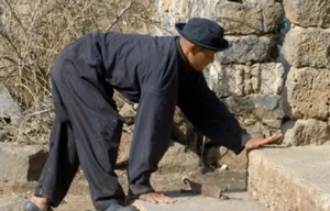 The Mysterious 'Cow Village' Curse: Why Walking on Two Legs Is Impossible - image 5