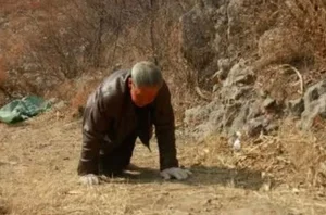 The Mysterious 'Cow Village' Curse: Why Walking on Two Legs Is Impossible - image 9