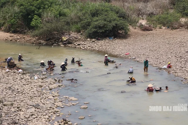 Local Residents in Quang Nam Vietnam Flock to Rivers for Gold Panning