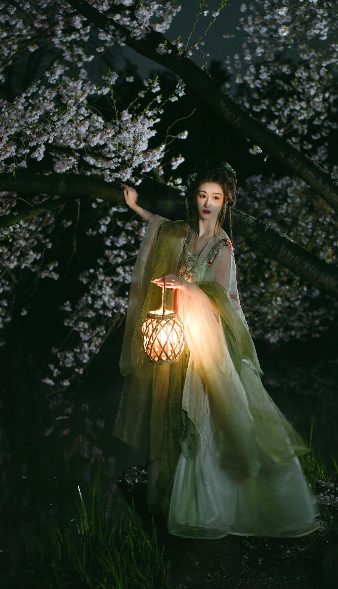 Night Cherry Exploration: Shu Li for YITUYU Art Language