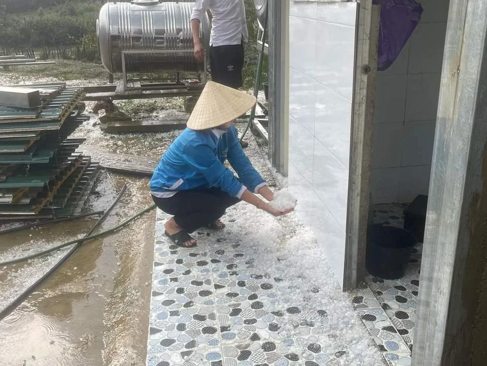 Severe Localized Hailstorm Hits Nghe An Mountains: Significant Damage Reported in Tuong Duong District Communities