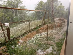 Severe Localized Hailstorm Hits Nghe An Mountains: Significant Damage Reported in Tuong Duong District Communities - image 1