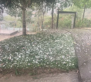 Severe Localized Hailstorm Hits Nghe An Mountains: Significant Damage Reported in Tuong Duong District Communities - image 3