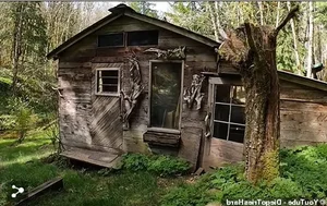 The Peaceful Solitude of an 80-Year-Old Man Living in a Remote Forest Cabin - image 7