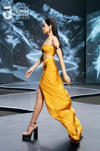 Miss Grand Vietnam 2023: How Hong Hanh Concealed Her Tattoo - image 4