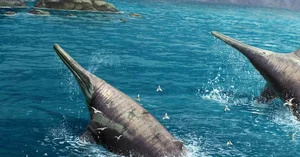 Shocking Discovery of a 200-Million-Year-Old Prehistoric Fossil on the Beach - image 5