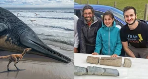 Shocking Discovery of a 200-Million-Year-Old Prehistoric Fossil on the Beach - image 2