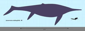 Shocking Discovery of a 200-Million-Year-Old Prehistoric Fossil on the Beach - image 6
