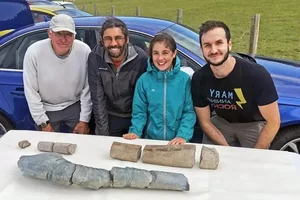 Shocking Discovery of a 200-Million-Year-Old Prehistoric Fossil on the Beach - image 0