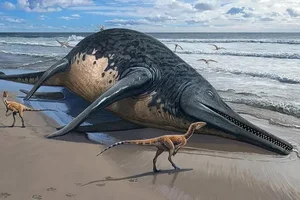 Shocking Discovery of a 200-Million-Year-Old Prehistoric Fossil on the Beach - image 4
