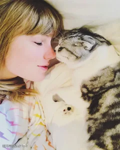 Taylor Swift’s Domestic Bliss: Cooking and Baking at Home After Marriage - image 4