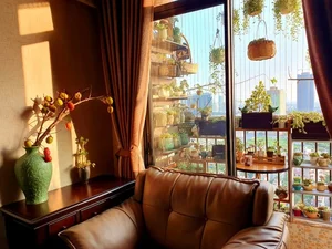 Stunning Rare Succulent Balcony Garden in Hanoi - image 1