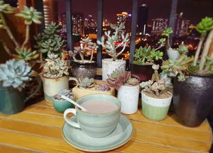 Stunning Rare Succulent Balcony Garden in Hanoi - image 3