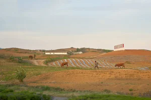 Exploring the Secrets of Pyongyang: A Rare Glimpse Into North Korea’s Mysterious Capital - image 6