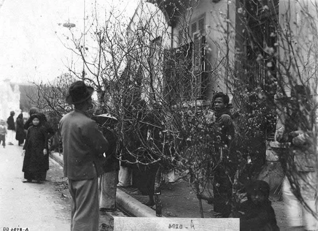 Nostalgic Photos of Traditional Tet Holiday Markets in Ancient Vietnam