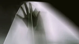 The Mystery of the Soul: Real-Life Stories and Scientific Theories - image 8