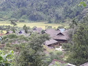 Discover the Ancient Thai Village Tucked Away in Vietnam's Majestic Highlands - image 1