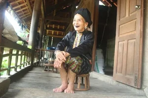 Discover the Ancient Thai Village Tucked Away in Vietnam's Majestic Highlands - image 5