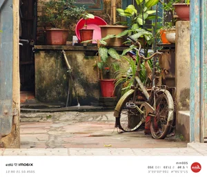 Why the Xiaomi Ultra Series is the Ultimate Camera Smartphone - image 11