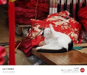 Why the Xiaomi Ultra Series is the Ultimate Camera Smartphone - image 3