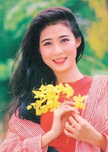 1990s Vietnamese Beauty Icons Diem Huong and Mong Van Reunite After 30 Years - image 10