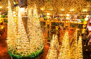 Unique Bamboo Christmas Tree Forest Captivates Visitors in Hanoi - image 0