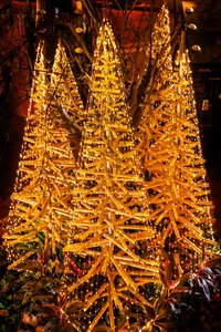Unique Bamboo Christmas Tree Forest Captivates Visitors in Hanoi - image 5