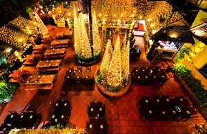 Unique Bamboo Christmas Tree Forest Captivates Visitors in Hanoi - image 3
