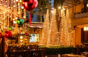 Unique Bamboo Christmas Tree Forest Captivates Visitors in Hanoi - image 4