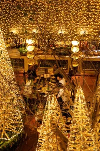 Unique Bamboo Christmas Tree Forest Captivates Visitors in Hanoi - image 1