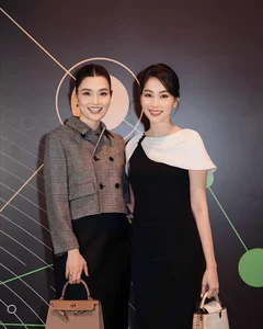 Dang Thu Thao Exudes Elegance With Crocodile Bag Beside Royal Beauty - image 2