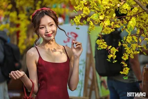 Elegant Vietnamese Ao Dai Fashion at the Ho Chi Minh City Calligraphy Street Festival - image 6