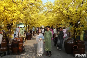 Elegant Vietnamese Ao Dai Fashion at the Ho Chi Minh City Calligraphy Street Festival - image 9