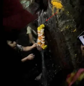 The Mystery of the Ancient Phoenix Tree Crying Holy Water Explained - image 6