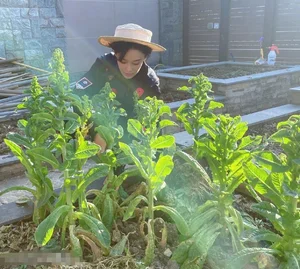 Zhang Xinyu’s Fairytale Garden: A Viral Sensation of Organic Living and Floral Beauty - image 5