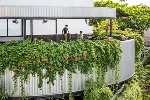 Duntax Office: A Sustainable Green Workspace Innovating Urban Design in Ho Chi Minh City - image 12