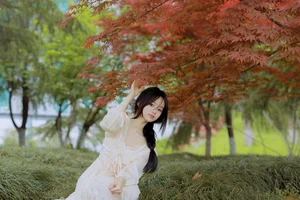 Shi Yuan Exquisite Portrait Series - YiTuYu Art Language Vol.6817 - image 7
