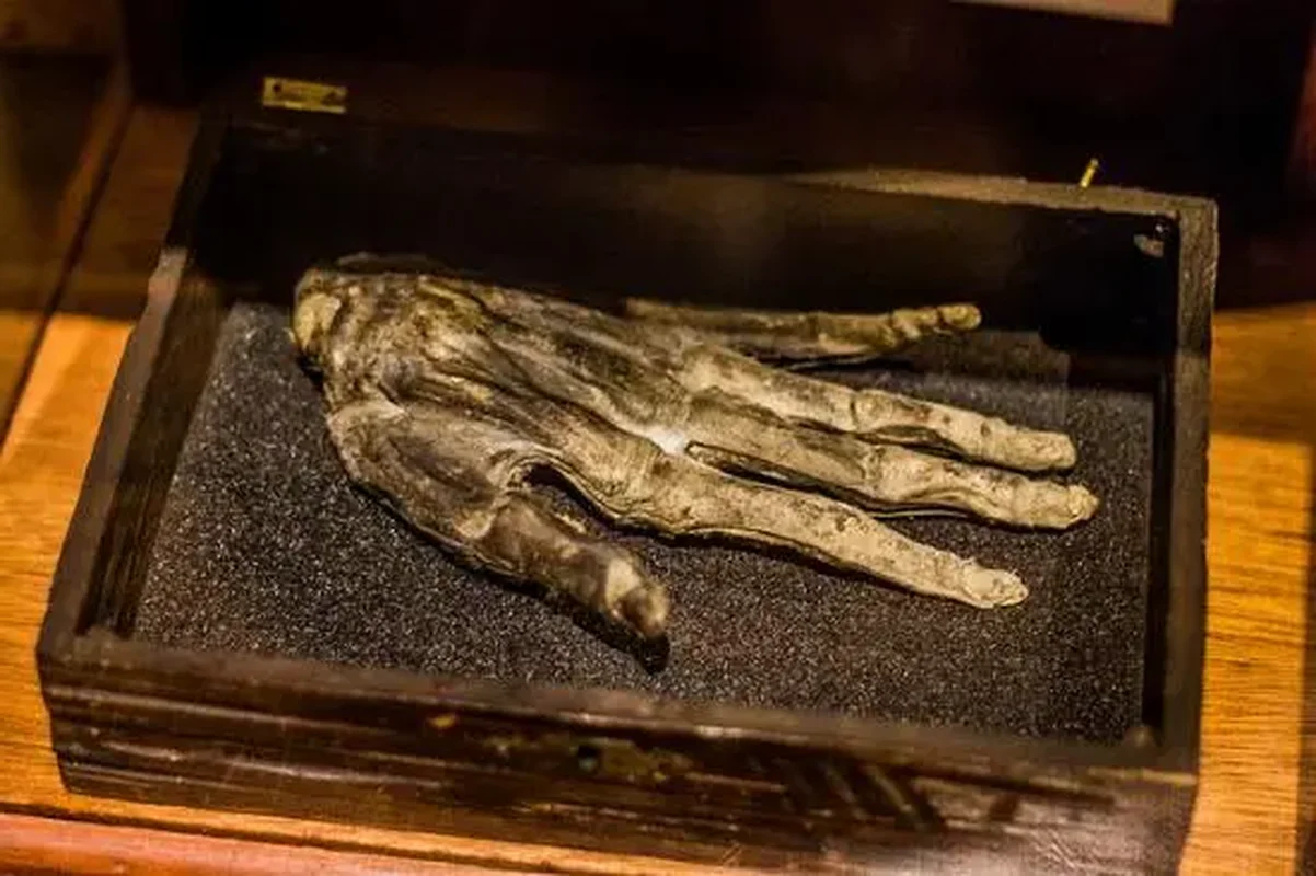 The Chilling Legend of the Hand of Glory: A Macabre Artifact in British History