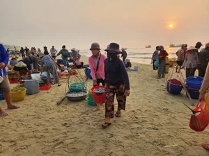 Vibrant Sunrise at Tam Tien Fish Market: A Coastal Gem in Quang Nam - image 5