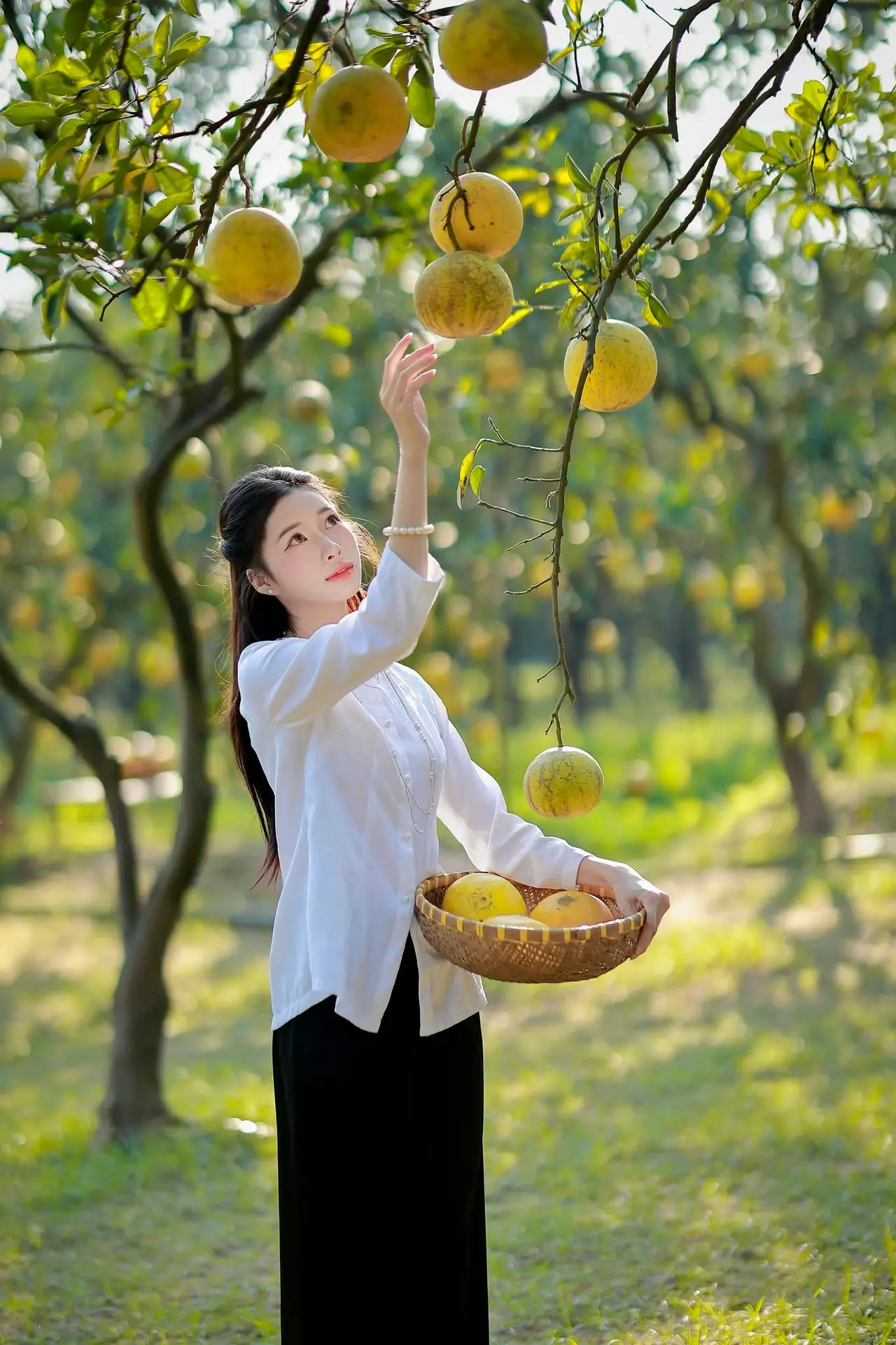 Gentle Girl in Pomelo Garden, Youthful Beauty Blending with Nature 17639840