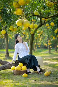 Gentle Girl in Pomelo Garden, Youthful Beauty Blending with Nature 17639840 - image 6