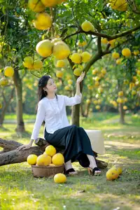 Gentle Girl in Pomelo Garden, Youthful Beauty Blending with Nature 17639840 - image 2