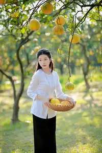 Gentle Girl in Pomelo Garden, Youthful Beauty Blending with Nature 17639840 - image 7
