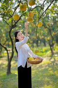 Gentle Girl in Pomelo Garden, Youthful Beauty Blending with Nature 17639840 - image 0