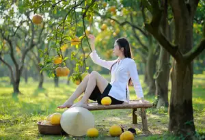 Gentle Girl in Pomelo Garden, Youthful Beauty Blending with Nature 17639840 - image 11