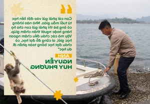 The Island Families Raising Monkeys for Medical Research Across Three Generations - image 0