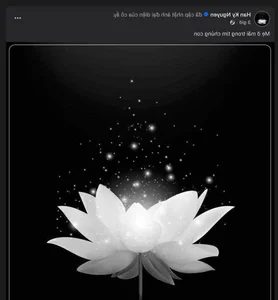 Model Ky Han Shares Somber News: Colleagues and Fans Offer Heartfelt Condolences - image 3