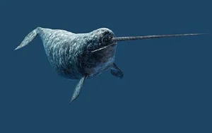 Nature’s Oddities: The Quirky Animal That Surprised the World of Science - image 4